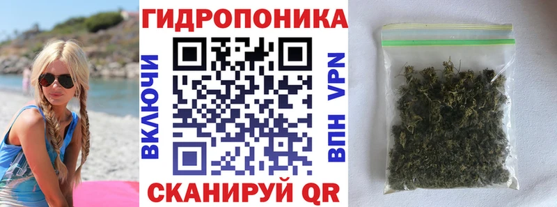 Бошки марихуана White Widow  наркошоп  Белёв 